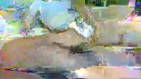 Snapshot of tree33007 chatting on November 2025 06:25:01 AM tree33007 online show from November 2025 06:25:01 AM