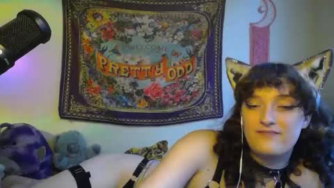 treecups online show from September 2025 09:18:01 PM