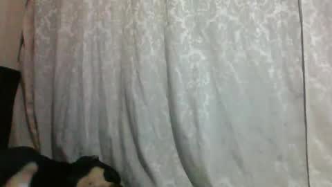Snapshot of triana_bell chatting on January 2025 02:40:01 AM triana_bell online show from January 2025 02:40:01 AM