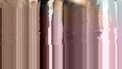 Snapshot of trillahung chatting on February 2025 01:55:02 AM WapBopper online show from February 2025 01:55:02 AM