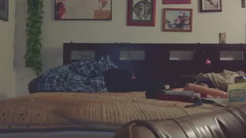 Trina Tushy Deluxe online show from March 2025 06:28:02 AM