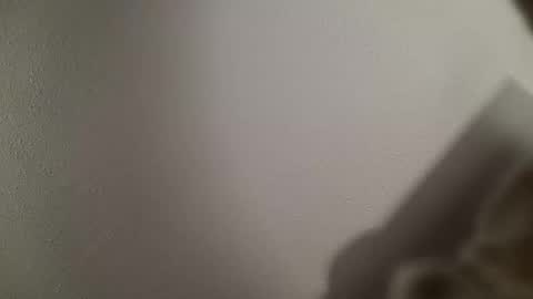 trinicdn online show from October 2025 08:22:02 AM