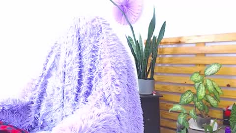 Trix online show from February 2026 06:34:02 AM