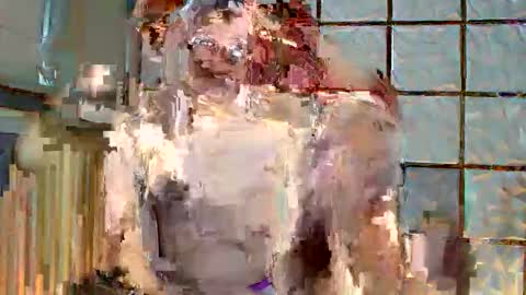 trixie_foxslut online show from February 2026 11:05:02 AM