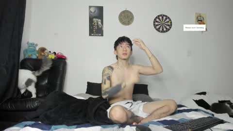 Troy online show from February 2026 11:04:02 AM