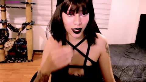 Cait online show from December 2025 04:41:04 AM