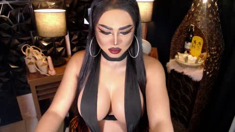 Snapshot of tsdarkdevon chatting on February 2025 08:09:02 AM tsdarkdevon online show from February 2025 08:09:02 AM