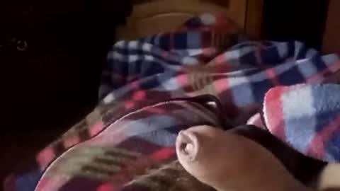 Snapshot of tseroone1 chatting on January 2026 06:18:02 AM tseroone1 online show from January 2026 06:18:02 AM