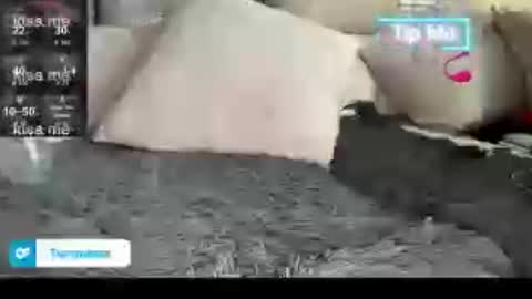 Snapshot of tsfoxx chatting on July 2026 04:43:02 PM tsfoxx online show from July 2026 04:43:02 PM