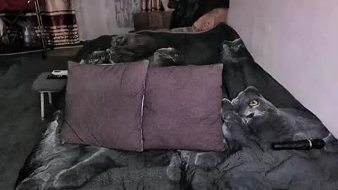 Lana online show from January 2026 09:18:02 PM