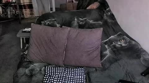 Lana online show from March 2026 11:31:02 PM