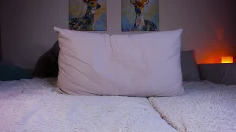 Snapshot of twiinkie_pie chatting on December 2024 08:03:02 PM Maria 3 online show from December 2024 08:03:02 PM