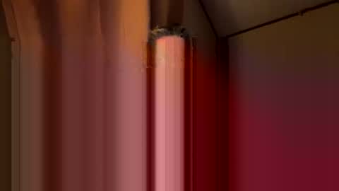 Snapshot of twosmallholes42 chatting on March 2026 04:03:01 AM twosmallholes42 online show from March 2026 04:03:01 AM