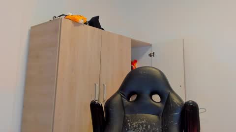     online show from March 2025 10:59:01 PM