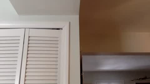 Tyler Durden online show from February 2025 05:54:02 PM