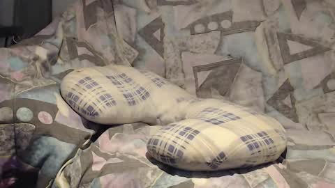 Helena and Tyson online show from November 2025 04:11:02 AM