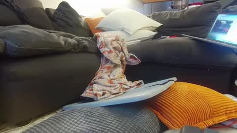 Snapshot of tysonjameson chatting on December 2024 02:27:01 PM tysonjameson online show from December 2024 02:27:01 PM