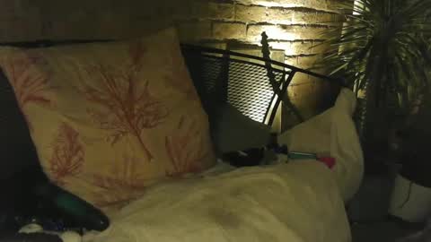 Snapshot of tysonjameson chatting on October 2025 01:25:02 AM tysonjameson online show from October 2025 01:25:02 AM