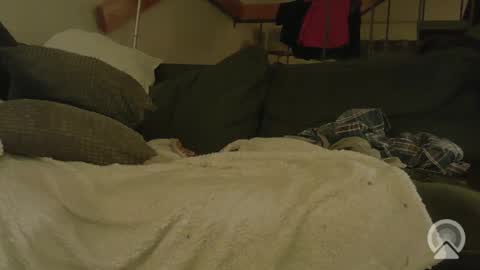 Snapshot of tysonjameson chatting on November 2025 08:37:02 AM tysonjameson online show from November 2025 08:37:02 AM