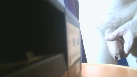 u02g2 online show from December 2024 08:00:01 PM