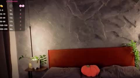 Polly online show from November 2025 03:25:02 PM