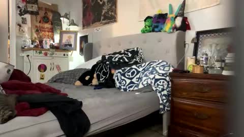 Snapshot of uncle_seabiscuit chatting on March 2026 01:22:01 AM Chris online show from March 2026 01:22:01 AM