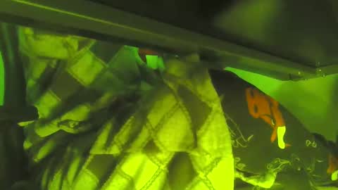 Snapshot of uncleremusway chatting on January 2025 05:11:01 AM uncleremusway online show from January 2025 05:11:01 AM