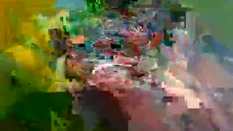 ur_zaddy4now online show from January 2025 11:37:02 AM