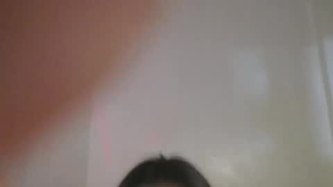 venice online show from March 2025 11:03:01 AM