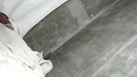 Ariana online show from February 2026 02:15:01 AM