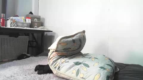 Snapshot of urnightmarets chatting on February 2026 09:03:02 AM Rbabes online show from February 2026 09:03:02 AM