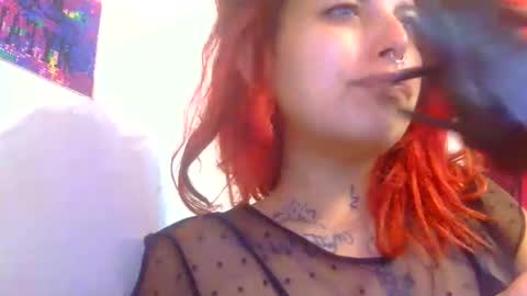 Aniie online show from December 2025 12:14:01 PM