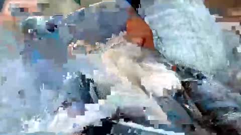 Snapshot of usabound chatting on October 2025 12:39:01 PM usabound online show from October 2025 12:39:01 PM