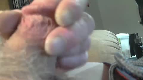 lookin for free fun online show from February 2025 08:31:01 PM