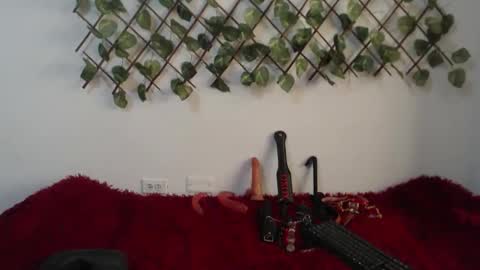 vaiolet online show from November 2025 01:54:02 PM