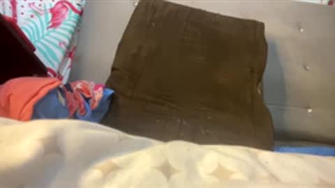 valencutt online show from February 2026 12:04:02 PM