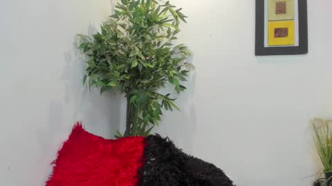 valeri_tafur online show from November 2025 12:33:01 AM