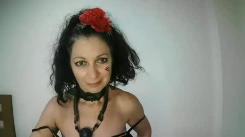 ValleriWind online show from November 2025 12:27:02 AM