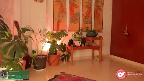      online show from March 2026 11:42:01 PM