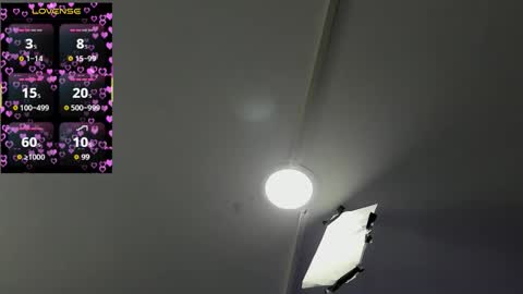 V A N E  online show from September 2025 01:07:02 AM