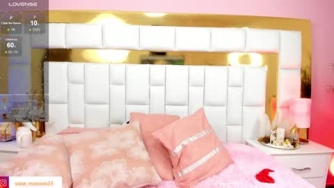 vane_manson online show from December 2024 04:21:01 PM