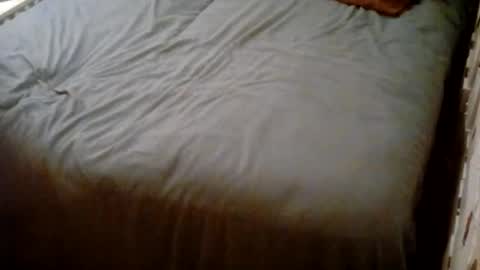 Usagi online show from October 2025 04:31:02 AM