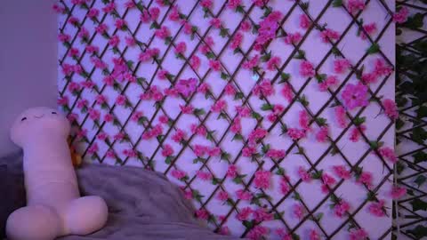 Polly online show from November 2025 06:19:01 PM