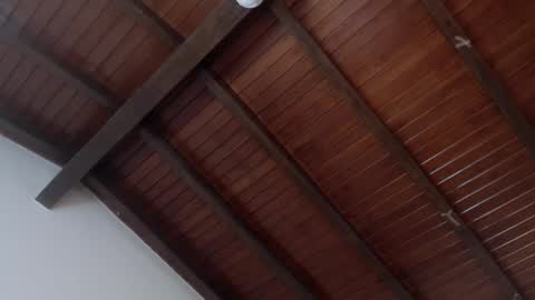 Snapshot of venusevans1 chatting on February 2025 03:54:02 AM Venus Evans online show from February 2025 03:54:02 AM