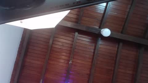 Snapshot of venusevans1 chatting on February 2025 12:19:02 AM Venus Evans online show from February 2025 12:19:02 AM