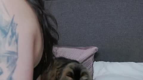venusinylons online show from May 2026 04:04:02 PM