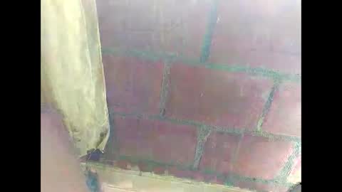 ver_gonblack online show from December 2024 04:59:02 PM