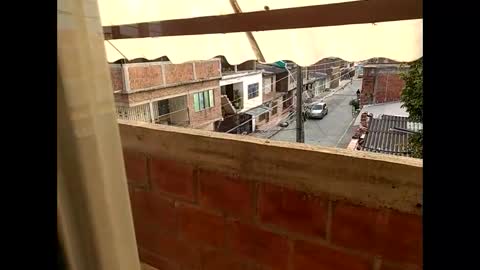 ver_gonblack online show from January 2025 12:28:02 PM