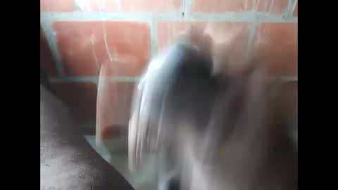 ver_gonblack online show from September 2025 11:52:01 PM