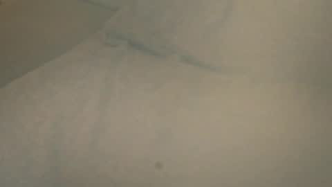 vern37 online show from April 2026 12:29:02 PM